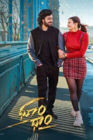 Dhoom Dhaam (2024) Hindi/Telugu Dual Audio – Full Movie Download & Watch FREE – MovieHuntBD