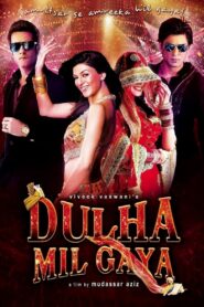 Dulha Mil Gaya (2010) Hindi BluRay – Full Movie Download & Watch FREE – MovieHuntBD