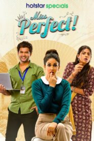 Miss Perfect (2024) Season 1 – Bangla/Hindi – Full Series Download & Watch FREE – MovieHuntBD