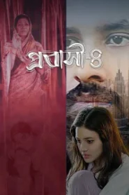 Probashi 4 (2025) Bengali DP WEB-DL – Full Natok Download & Watch FREE – MovieHuntBD