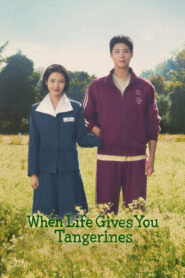 When Life Gives You Tangerines (2025) Season 01 – Dual Audio [Hindi-English] NetFlix WEB-DL – Full Series Download & Watch FREE – MovieHuntBD