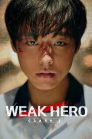 Weak Hero (2025) Season 01 + 02 – Hindi/English/Korean – Full Series Download & Watch FREE – MovieHuntBD