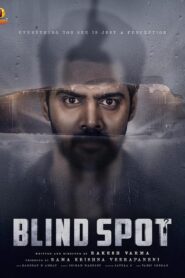 Blind Spot (2025) Tam+Mal+Tel+Kan+Hin – Full Movie Download & Watch FREE – MovieHuntBD
