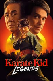 Karate Kid Legends (2025) Dual Audio [Hindi ORG-English] AMZN WEB-DL H264 AAC 1080p 720p 480p ESub – MovieHuntBD