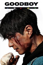 Good Boy (2025) S01 – Ep: 01-16 – Dual Audio [Hindi-Korean] AMZN WEB-DL – Full Series Download & Watch FREE – MovieHuntBD