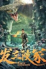 The Dragon’s Tomb (2024) Dual Audio [Hindi ORG-Chinese] WEB-DL H264 AAC 1080p 720p ESub – Full Movie Download & Watch FREE – MovieHuntBD