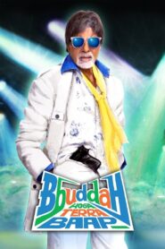 Bbuddah Hoga Terra Baap (2011) – WEB-DL H264 AAC 1080p 720p 480p Download & Watch FREE