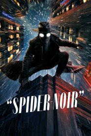 Spider-Noir (2026) – WEB-DL H264 AAC 1080p 720p 480p Download & Watch FREE