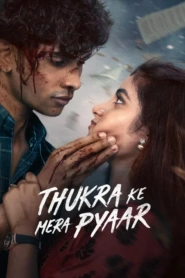 Thukra Ke Mera Pyaar (2024-2026)
