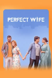 Perfect Wife (2025)