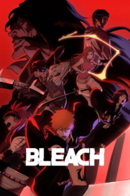 Bleach (2004-2006)