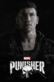 The Punisher (2017-2019)